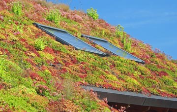 Trench Green living roof systems