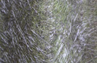 Trench Green fibreglass roof work