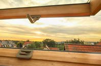 rated Trench Green roof window companies